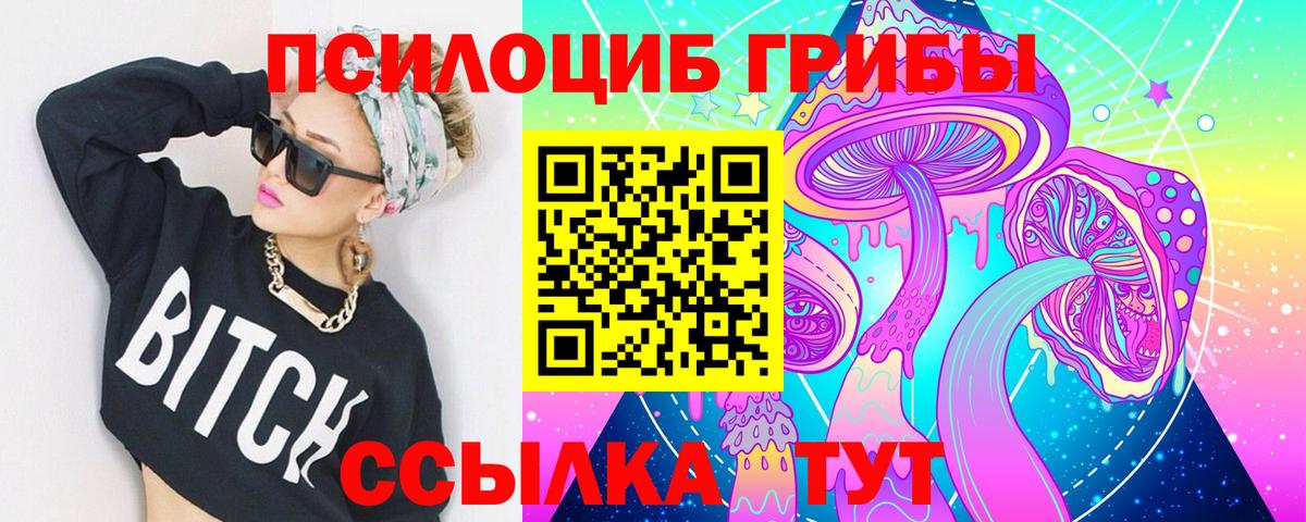Владимир  Псилоцибиновые грибы Cubensis  Вход с VPN 