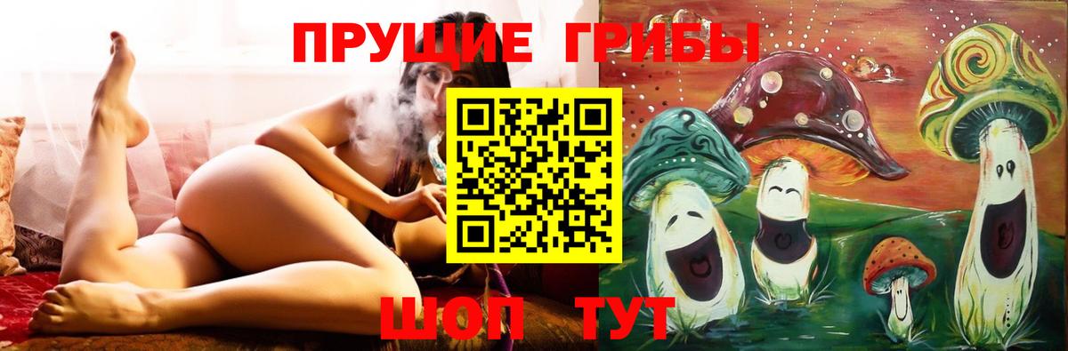 Псилоцибиновые грибы прущие грибы Владимир